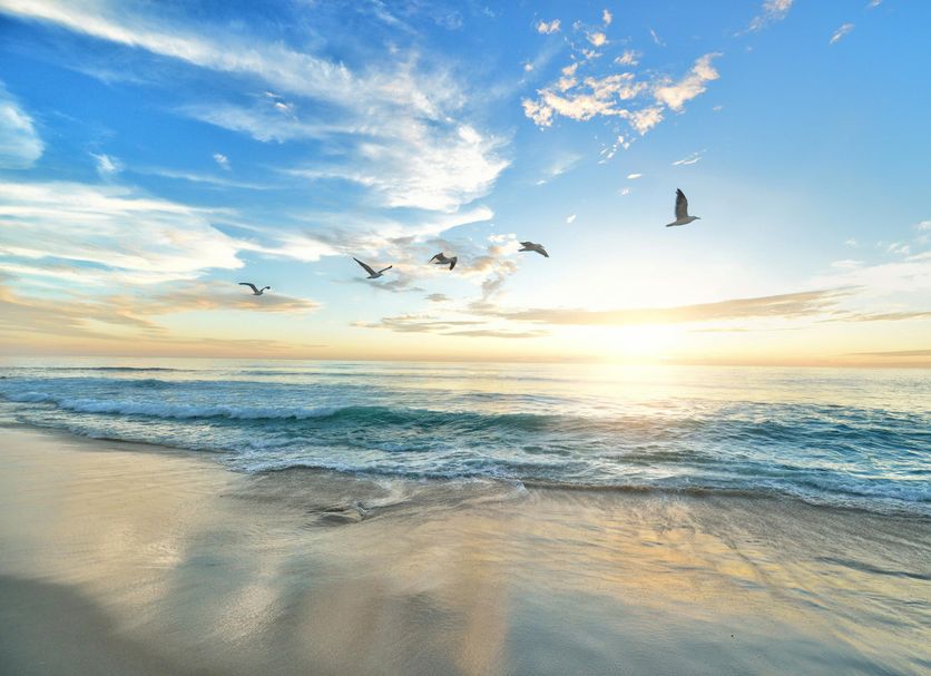 Plage Photo